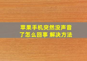 苹果手机突然没声音了怎么回事 解决方法